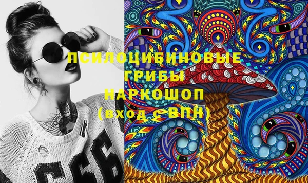 ECSTASY Нязепетровск