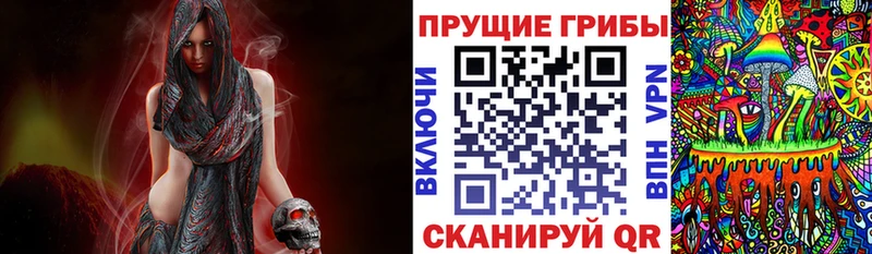 дарнет шоп  Куртамыш  Галлюциногенные грибы мухоморы 